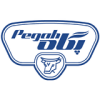 فروشگاه 33 pegah